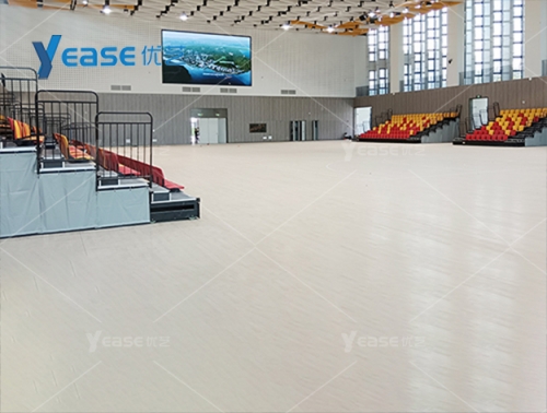 广东省东莞市大湾区大学体育馆